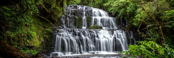 Catlins, Drzewa, Skała, Nowa Zelandia, Purakaunui Falls, Wodospad