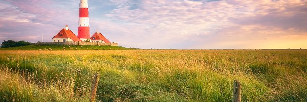 Niemcy, Trawa, Chmury, Łąka, Latarnia morska Westerheversand, Gmina Westerhever, Wschód słońca