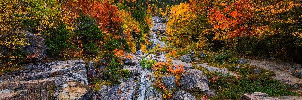 Park miejski Crawford Notch, Las, Stany Zjednoczone, Saco River, Skały, Kaskada, Rzeka, Jesień, Drzewa, Stan New Hampshire