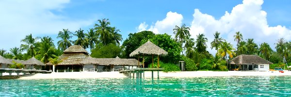 Chaty, Kokosowe, Pomosty, Malediwy, Palmy, Morze