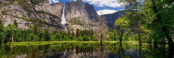Drzewa, Zielone, Sierra Nevada, Góry, Park Narodowy Yosemite, Stany Zjednoczone, Kalifornia, Wodospad Yosemite, Rzeka