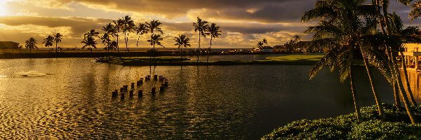 Lihue, Chmury, Palmy, Akwen, Morze, Stany Zjednoczone, Hawaje, Ciemne, Wyspa Kauai