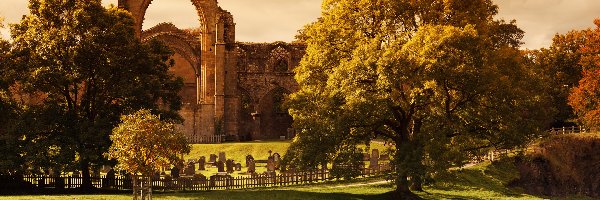 Cmentarz, Ogrodzenie, Rzeka, Opactwo Bolton Priory, Ruiny, Anglia, Hrabstwo North Yorkshire, Drzewa, Bolton Abbey