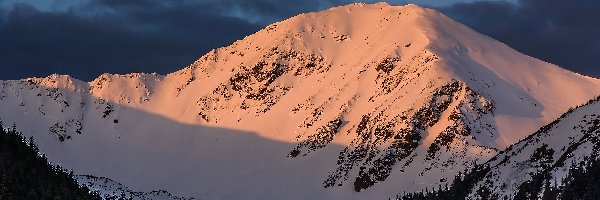 Góra, Śnieg, Zima, Chmury, Drzewa