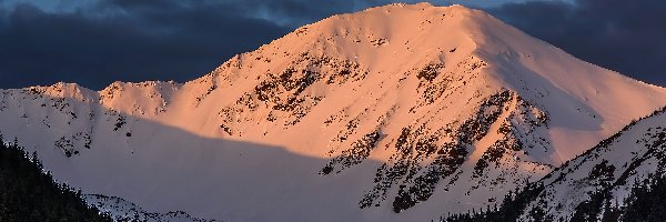 Góra, Śnieg, Zima, Chmury, Drzewa