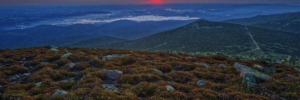 Polska, Rośliny, Kamienie, Wzgórza, Wschód słońca, Karkonosze, Góry