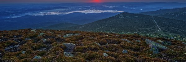 Polska, Rośliny, Kamienie, Wzgórza, Wschód słońca, Karkonosze, Góry