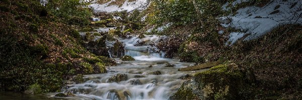 Drzewa, Śnieg, Skarpa, Liście, Rzeka, Las