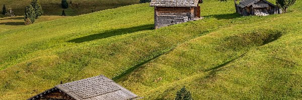 Łąki, Dolina Val Gardena, Włochy, Drzewa, Wzgórza, Drewniane, Domki, Płaskowyż Seiser Alm