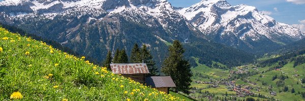 Domy, Łąka, Dolina, Szwajcaria, Alpy Berneńskie, Góry