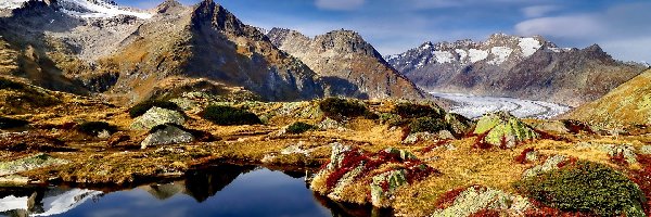 Szwajcaria, Góry, Alpy Berneńskie, Aletschgletscher, Lodowiec, Kanton Valais, Kałuża