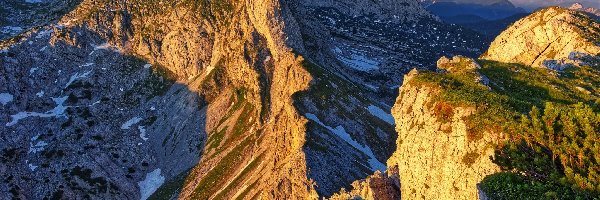 Góry, Totes Gebirge, Alpy Wapienne, Austria, Iglaki