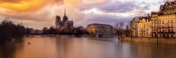 Domy, Rzeka Sekwana, Katedra Notre Dame, Francja, Paryż