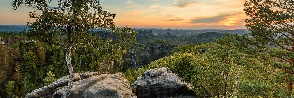 Drzewo, Góry Połabskie, Niemcy, Park Narodowy Saskiej Szwajcarii, Skały, Brzoza, Zarośla, Zachód słońca