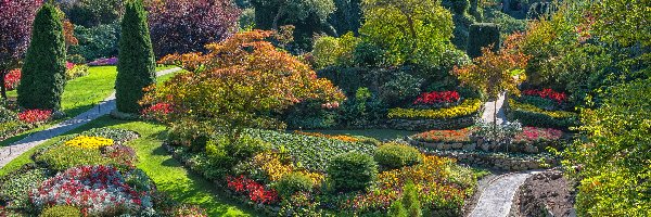 Butchart Gardens, Alejki, Rabaty, Drzewa, Ogród, Kanada, Kolumbia Brytyjska, Klomby, Brentwood Bay