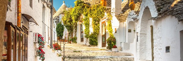 Trulli, Alberobello, Domy, Ulica, Prowincja Bari, Włochy