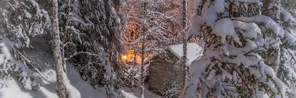 Dom, Ośnieżone, Drzewa, Oświetlenie, Las, Zima