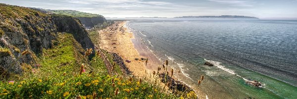 Kwiaty, Wybrzeże, Irlandia Północna, Hrabstwo Londonderry, Skały, Plaża, Benone Beach, Morze