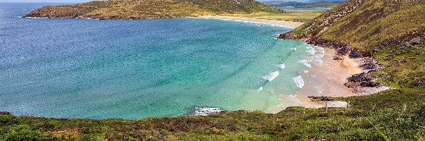 Kwiaty, Wybrzeże, Irlandia, Hrabstwo Donegal, Plaża, Roślinność, Półwysep Rosguill, Morze