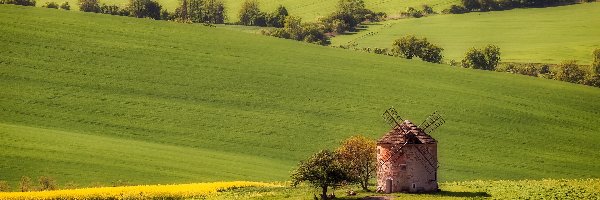 Czechy, Wiatrak, Drzewa, Wzgórza, Pola uprawne, Kraj południowomorawski, Gmina Kunkovice