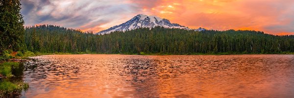 Drzewa, Góra, Stany Zjednoczone, Stan Waszyngton, Stratowulkan Mount Rainier, Odbicie, Park Narodowy Mount Rainier, Jezioro