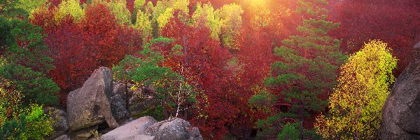 Jesień, Drzewa, Skały, Góra, Las, Promienie słońca, Turnia