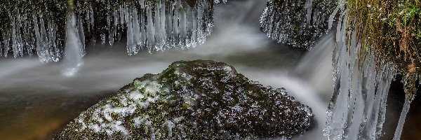 Sople, Rzeka, Lodu, Trawa, Kamień