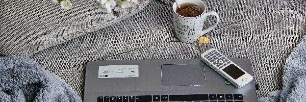 Herbata, Laptop, Kubek, Koc, Kanapa