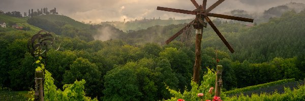 Austria, Pole, Winnice, Wzgórza, Drzewa, Styria, Kwiaty Róże