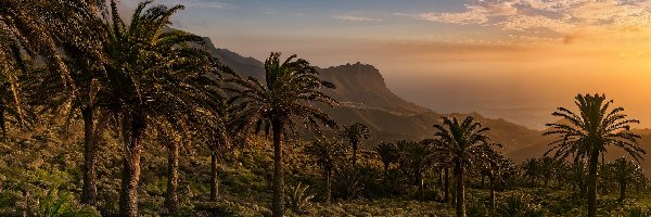 Zachód słońca, Drzewa, Hiszpania, Wyspy Kanaryjskie, Palmy, Tazo, Gomera, Góry