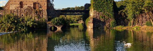 Ruiny, Most, Rzeka Mincio, Łabędź, Włochy, Valeggio sul Mincio