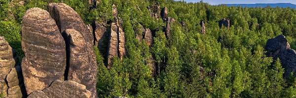 Broumovske steny, Formacja Skalni Divadlo, Góry, Czechy, Skały, Drzewa