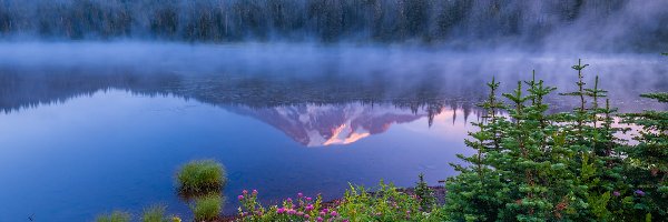 Jezioro, Park Narodowy Mount Rainier, Odbicie, Stratowulkan Mount Rainier, Stany Zjednoczone, Drzewa, Kwiaty, Stan Waszyngton, Świerki, Góry, Mgła