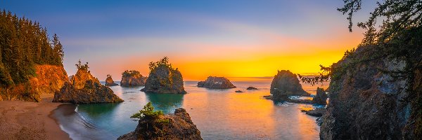 Wybrzeże, Drzewa, Morze, Secret Beach, Plaża, Stany Zjednoczone, Oregon, Skały, Zachód słońca