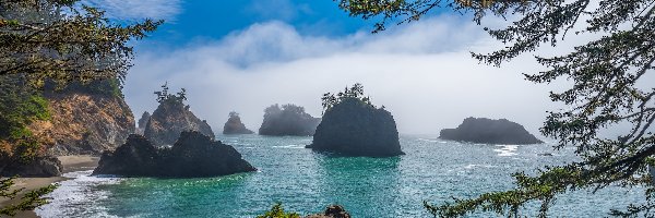 Skały, Morze, Plaża, Oregon, Stany Zjednoczone, Wybrzeże, Gałęzie, Secret Beach, Drzewa