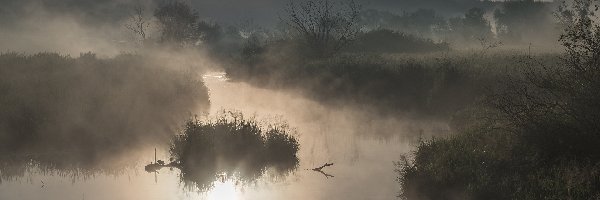 Kępa, Łąki, Mgła, Trawy, Drzewa, Rzeka