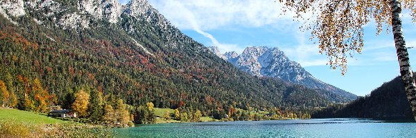 Gmina Ellmau, Drzewo, Jezioro, Austria, Ellmau, Góry Kaisergebirge