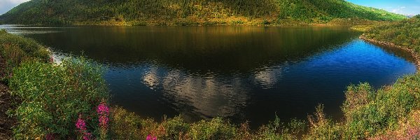 Góra, Zalesiona, Jezioro