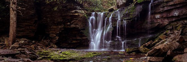 Most, Park stanowy, Elekala Falls, Omszałe, Kamienie, Wirginia Zachodnia, Blackwater Falls State, Skały, Drzewa, Stany Zjednoczone, Las, Wodospad