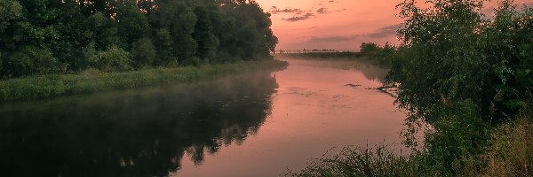 Rzeka, Trawa, Drzewa, Zachód słońca, Krzewy