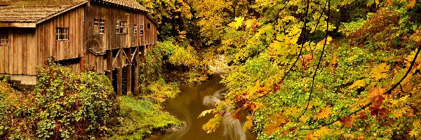 Woodland, Cedar Creek Grist Mill, Stany Zjednoczone, Jesień, Lewis River, Drzewa, Las, Młyn, Rzeka, Stan Waszyngton