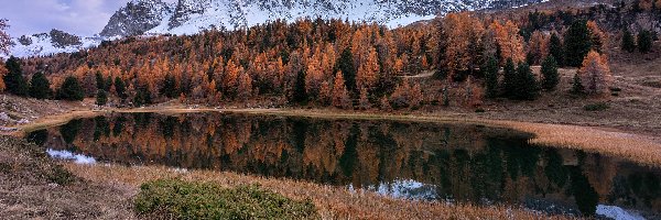 Drzewa, Góry, Francja, Ceillac, Jesienne, Jezioro, Lac Miroir, Ośnieżone