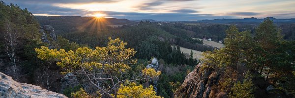 Promienie słońca, Góry Połabskie, Drzewa, Park Narodowy Saskiej Szwajcarii, Niemcy, Skały, Lasy