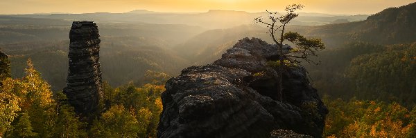 Wschód słońca, Góry Połabskie, Drzewa, Park Narodowy Saskiej Szwajcarii, Niemcy, Mgła, Skały