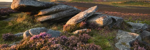 Skały, Owler Tor, Anglia, Hope Valley, Kamienie, Wrzosy, Wrzosowisko, Formacja skalna