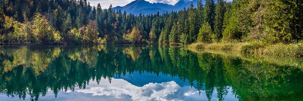 Chmury, Góry, Jezioro, Kanton Gryzonia, Szwajcaria, Drzewa, Lake Cresta