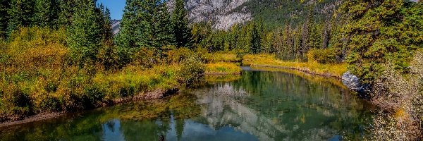 Park Narodowy Banff, Drzewa, Góry Skaliste, Bow River, Rzeka, Kanada, Alberta, Las, Kajak