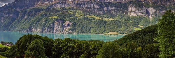 Pasmo górskie, Góry, Drzewa, Walensee, Trawa, Chmury, Alpy, Łąka, Jezioro, Szwajcaria, Churfirsten, Lasy