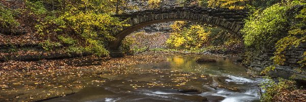 Stony Brook River, Skały, Stany Zjednoczone, Stan Nowy Jork, Rzeka, Kamienny, Most, Drzewa