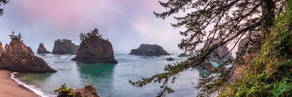 Skały, Morze, Plaża, Stan Oregon, Stany Zjednoczone, Wybrzeże, Gałęzie, Secret Beach, Drzewa